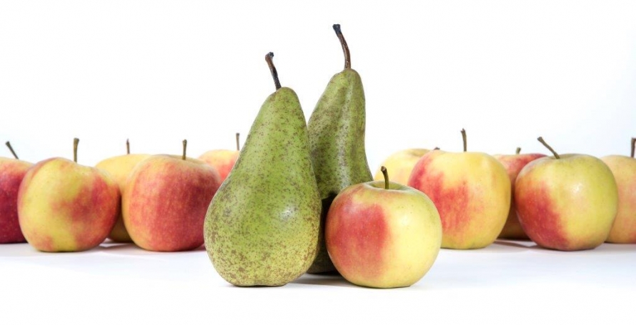 Export fruit Export fruit